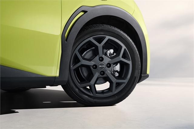 image-4, 2026 BYD ATTO 1 at Dunedin