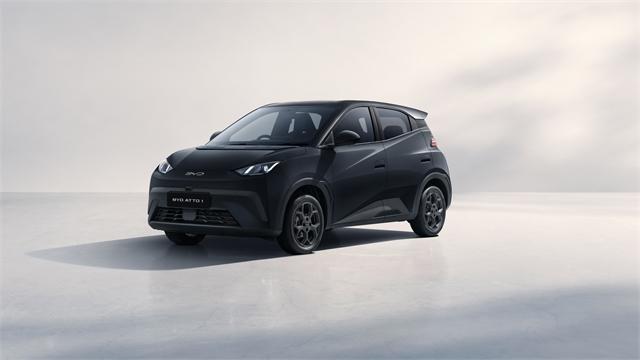 image-2, 2026 BYD ATTO 1 at Dunedin