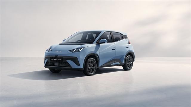 image-1, 2026 BYD ATTO 1 at Dunedin