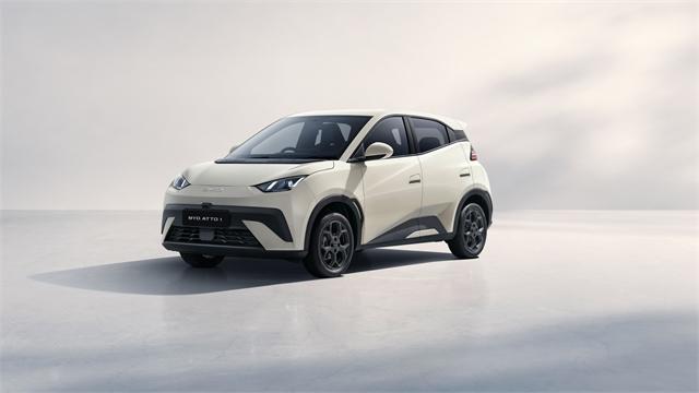 image-3, 2026 BYD ATTO 1 at Dunedin