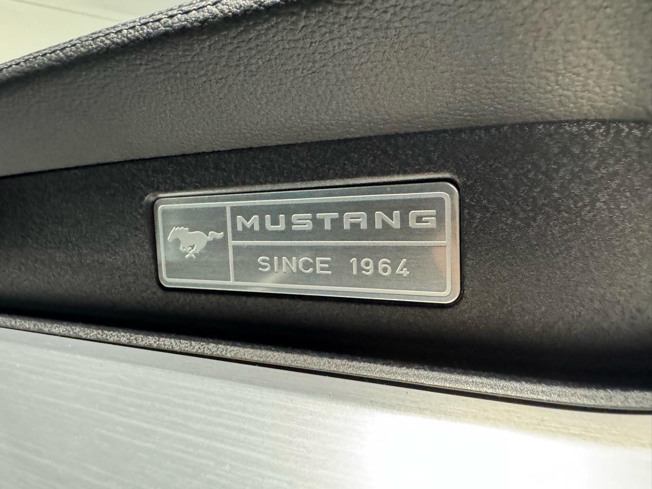 image-14, 2016 Ford Mustang 5.0 V8 Fastback NZ New at Christchurch