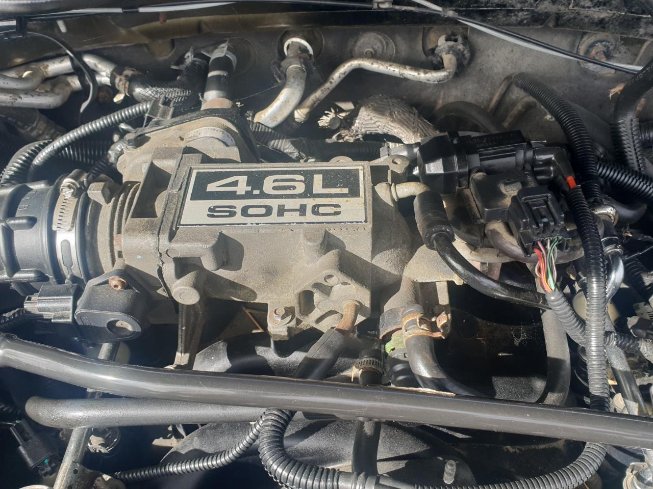 image-1, 2004 Ford Explorer LTD 4.6L AU at Christchurch