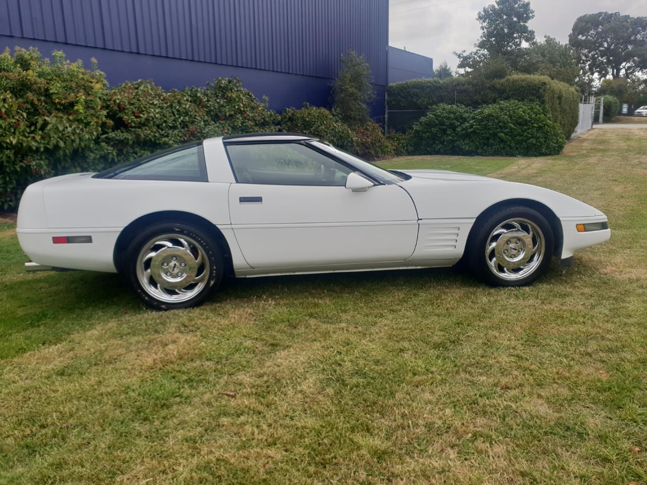 image-14, 1992 Chevrolet CORVETTE at Christchurch