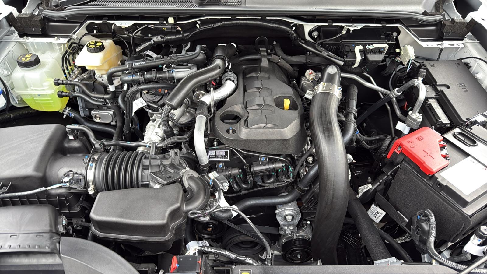 image-10, 2025 Ford Ranger XLT 4WD DCab MY25.25 at Gore