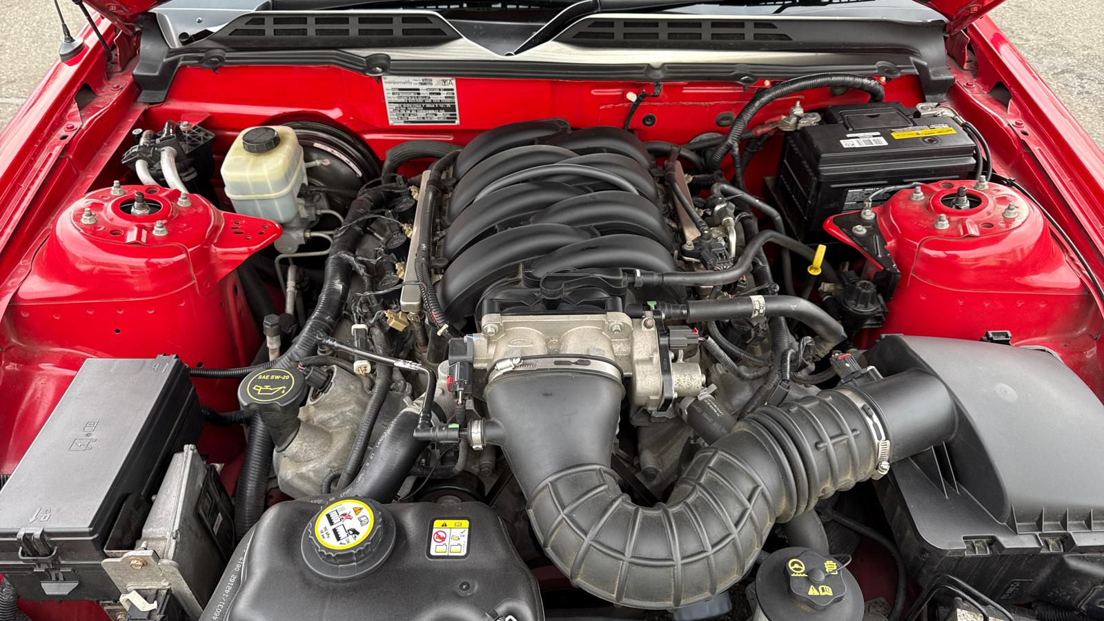 image-10, 2005 Ford Mustang GT CONVERTIBLE 4.6L V8 - RIGHT H at Gore