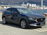 2019 Mazda Cx-30 20S Proactive Touring