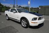 2007 Ford MUSTANG GT 4.6 CUSTOM in Auckland