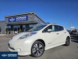 2014 Nissan LEAF G