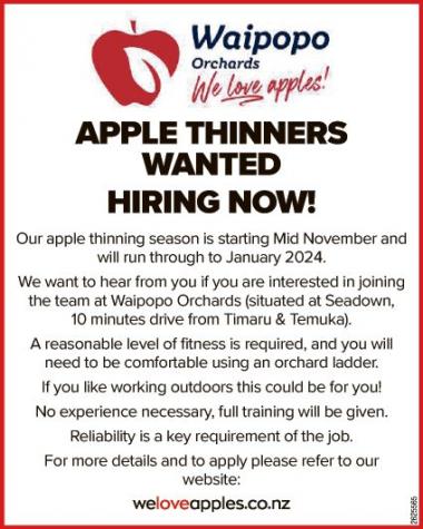 APPLE THINNERS WANTED