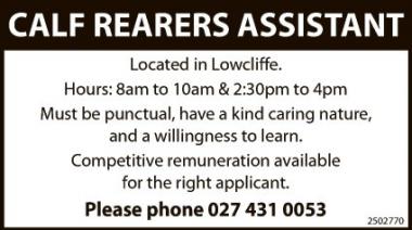 CALF REARERS ASSISTANT in Canterbury
