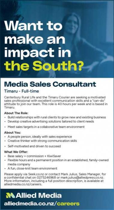 Media Sales Consultant