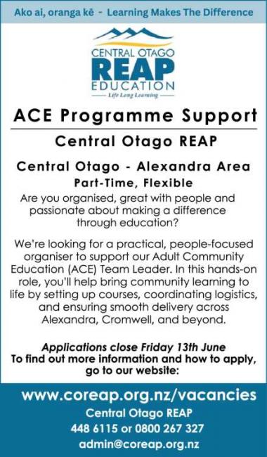 ACE Programme Support