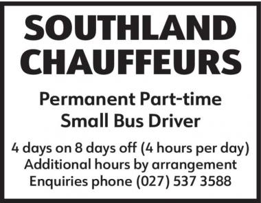 Small Bus Driver