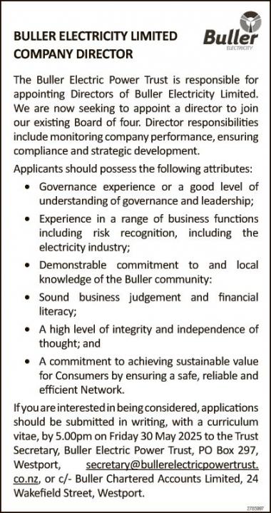 COMPANY DIRECTOR