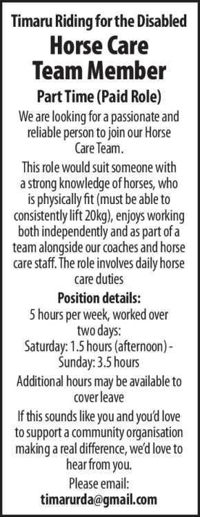 Horse Care Team Member