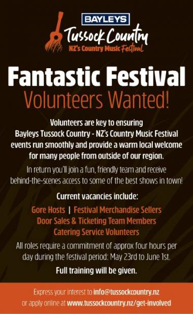 Fantastic Festival Volunteers Wanted!