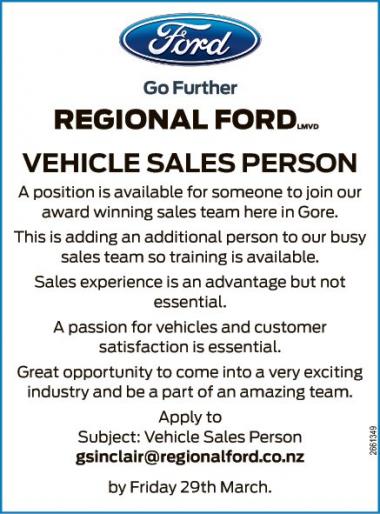 VEHICLE SALES PERSON