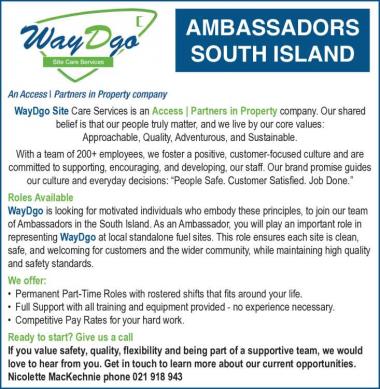 AMBASSADORS