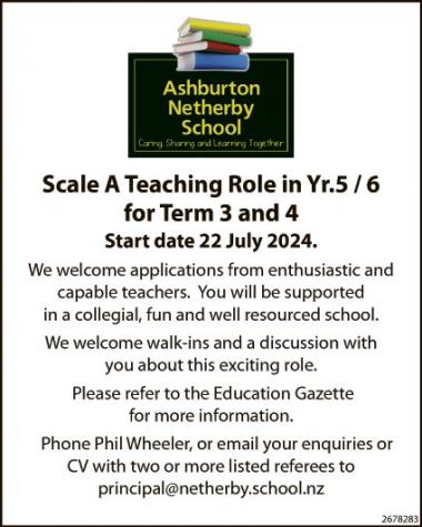 Scale A Teaching Role in Yr.5/6 for Term 3 and 4 in Otago