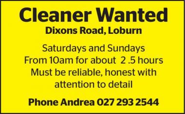 Cleaner Wanted