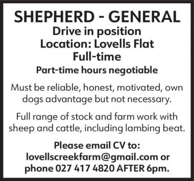 SHEPHERD - GENERAL