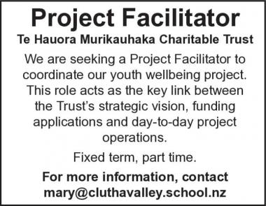 Project Facilitator
