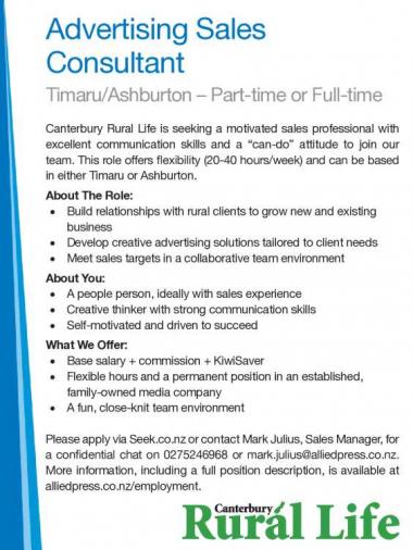 Advertising Sales Consultant