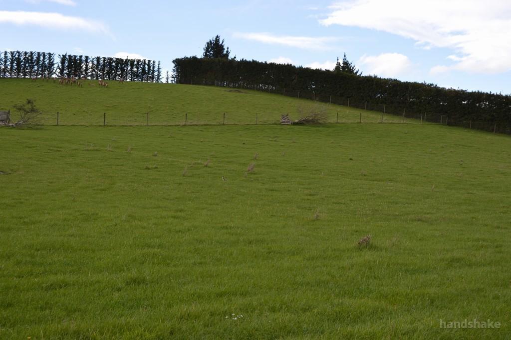 Bare Land Close To Town on handshake