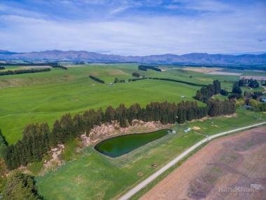 Irrigation, scale, crop, dairy, beef